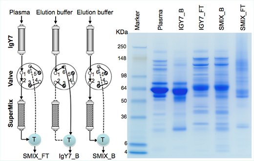 Plasma Buffer