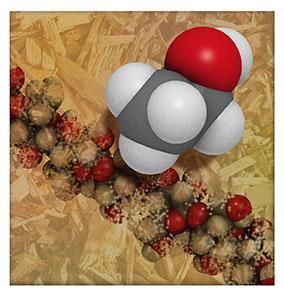 Ethanol and cellulose structure
