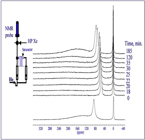 Adsorption of guest molecules 