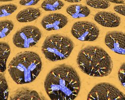 Artist's rendering of silica cages