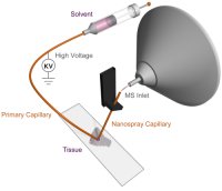nanoDESI
