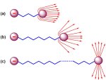 electrons leaving multiply charged anions