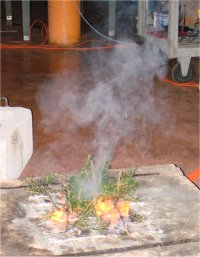 Ponderosa pine branches burning at test center