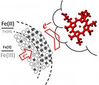Iron exiting nanoparticles