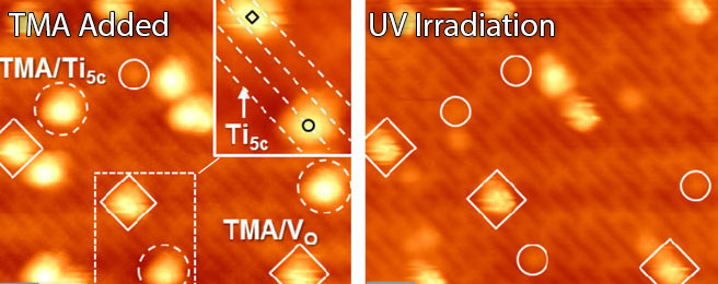 scanning transmission microscopy image