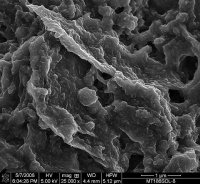 Graphene