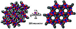 Molecule