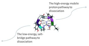 peptide fragmentation