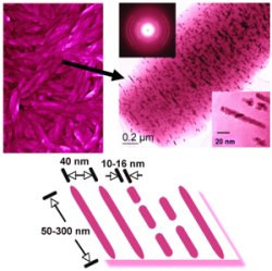 Cellulose nanocrystals