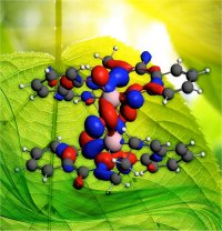 protein system mystery