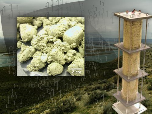 soil in column.