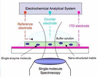 Cyclic voltammetry coupled single-molecule spectroscopy