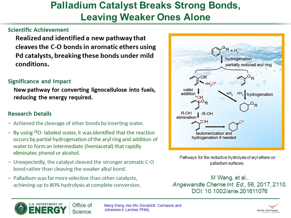 PowerPoint slide summarizing Palladium Catalyst Charters A New Path