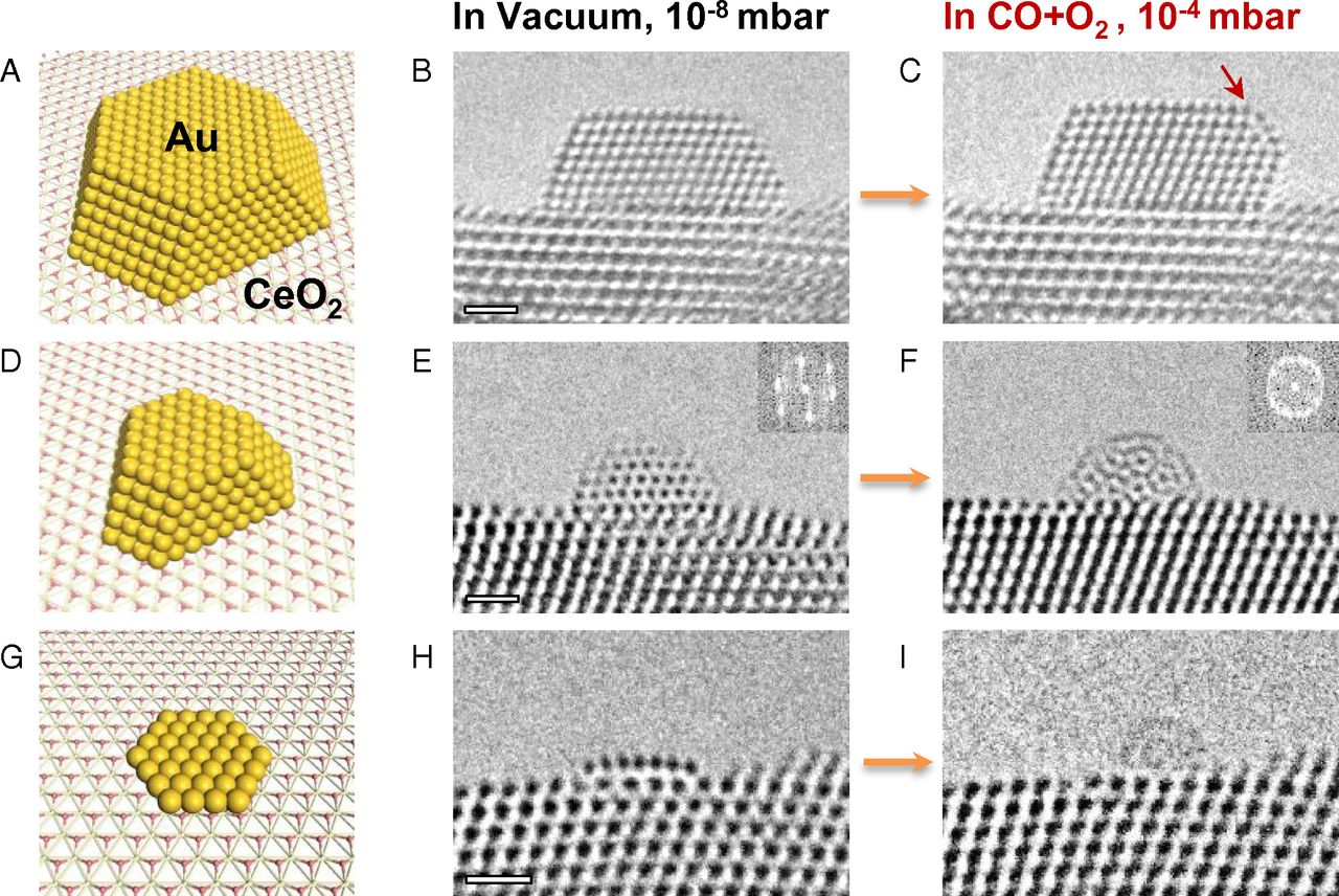 Dynamic structural changes of various gold nanostructures supported on CeO2 upon exposure to the reactant gases