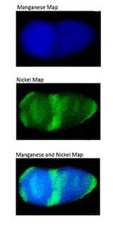 x-ray energy-dispersive spectroscopy maps of LMNO cathode