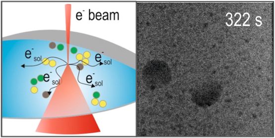 cartoon and image of STEM and electrolyte sample