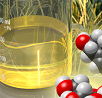 molecules and liquid