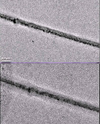 electrodes in TEM wet cell