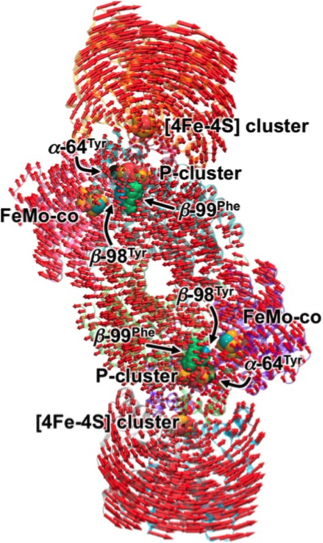 Depiction of enzyme with clusters