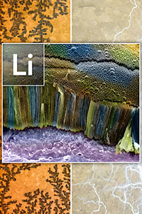 Dendrites and lithium