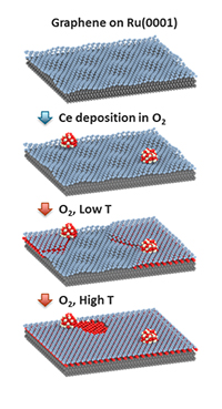 Graphene and oxygen spillover