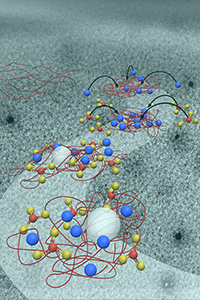 Calcium carbonate crystallization
