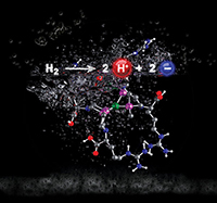 Argining model with reaction