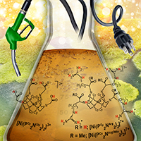 Argining model with reaction