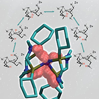 Catalyst model with hydrogen reaction