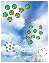 Conceptual art showing SOA formation