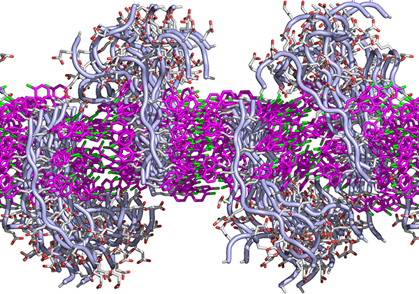Membrane model