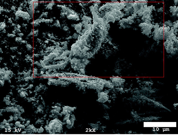 Tank waste image