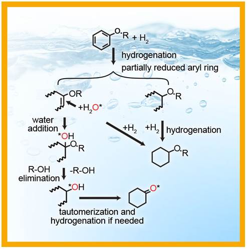 Palladium catalyst takes new pathway.