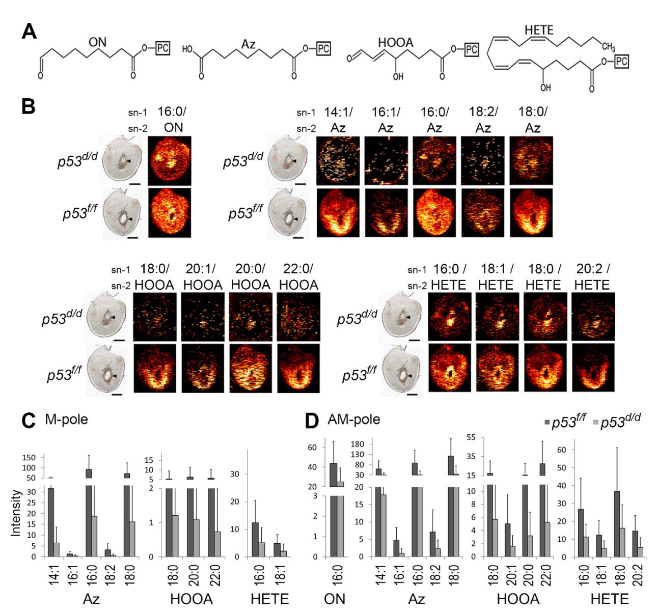 Chemical imaging electrospray ionization
