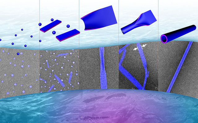 Artistic view of tube formation