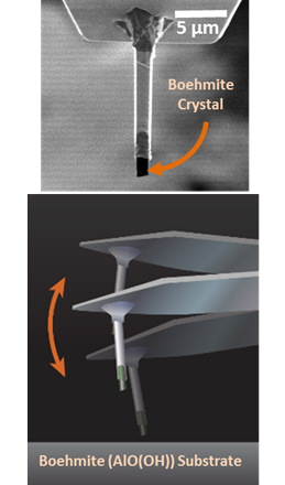 Atomic force microscopy set up