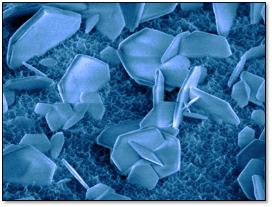 Atomic force microscopy image of zinc oxide