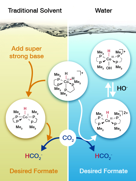 Reaction path in water versus traditional solvent