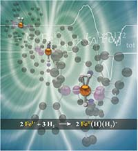 paramagnetic iron complex