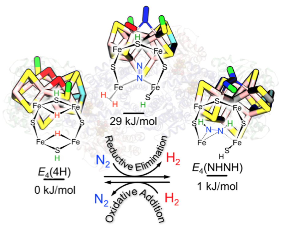 nitrogenbond
