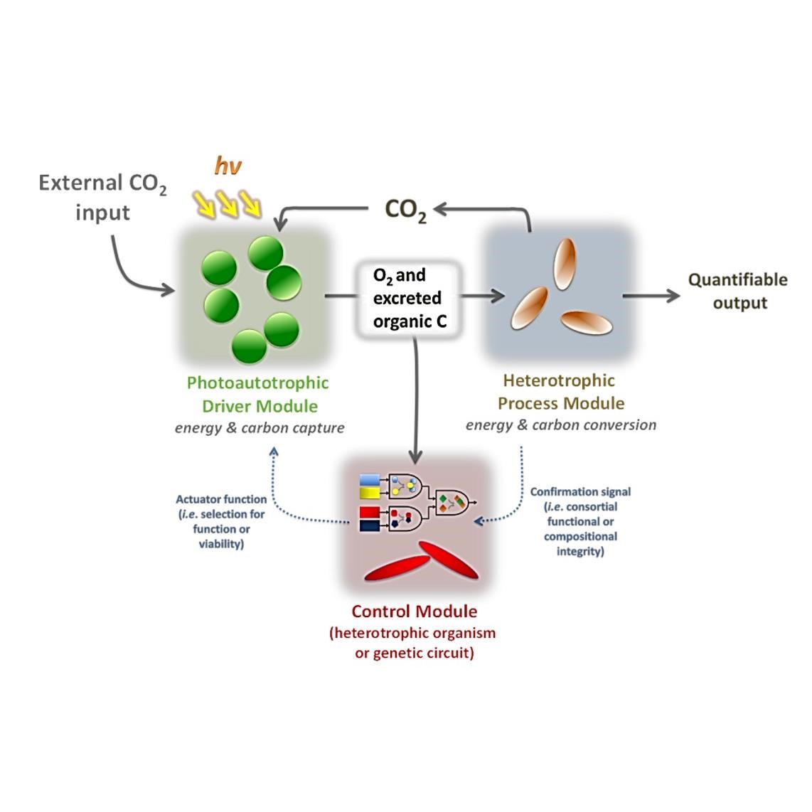 30707 control module
