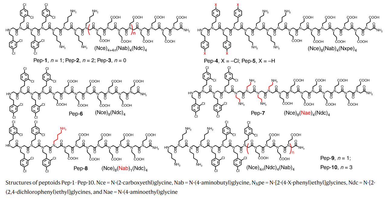 Structures of peptoids Pep-1–Pep-10. Nce = N-(2-carboxyethl)glycine, Nab= N-(4-aminobutyl)glycine, NXpe = N-[2-(4-X-phenyl)ethyl]glycines, Ndc =N-[2-(2,4-dichlorophenyl)ethyl]glycines, and Nae= N-(4-aminoethyl)glycine