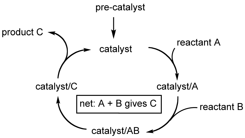 Molecular Catalysis