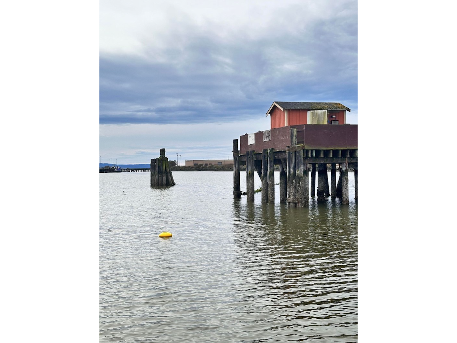 Acoustic Doppler Current Profiler floating in Humboldt Bay near a pier