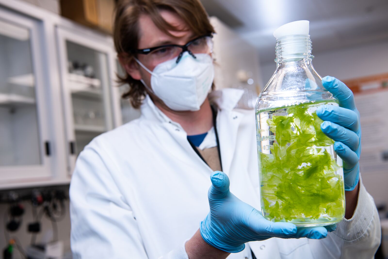 A man wearing a mask and white lab coat holds a glass jar full of sea water and a bright green seaweed.