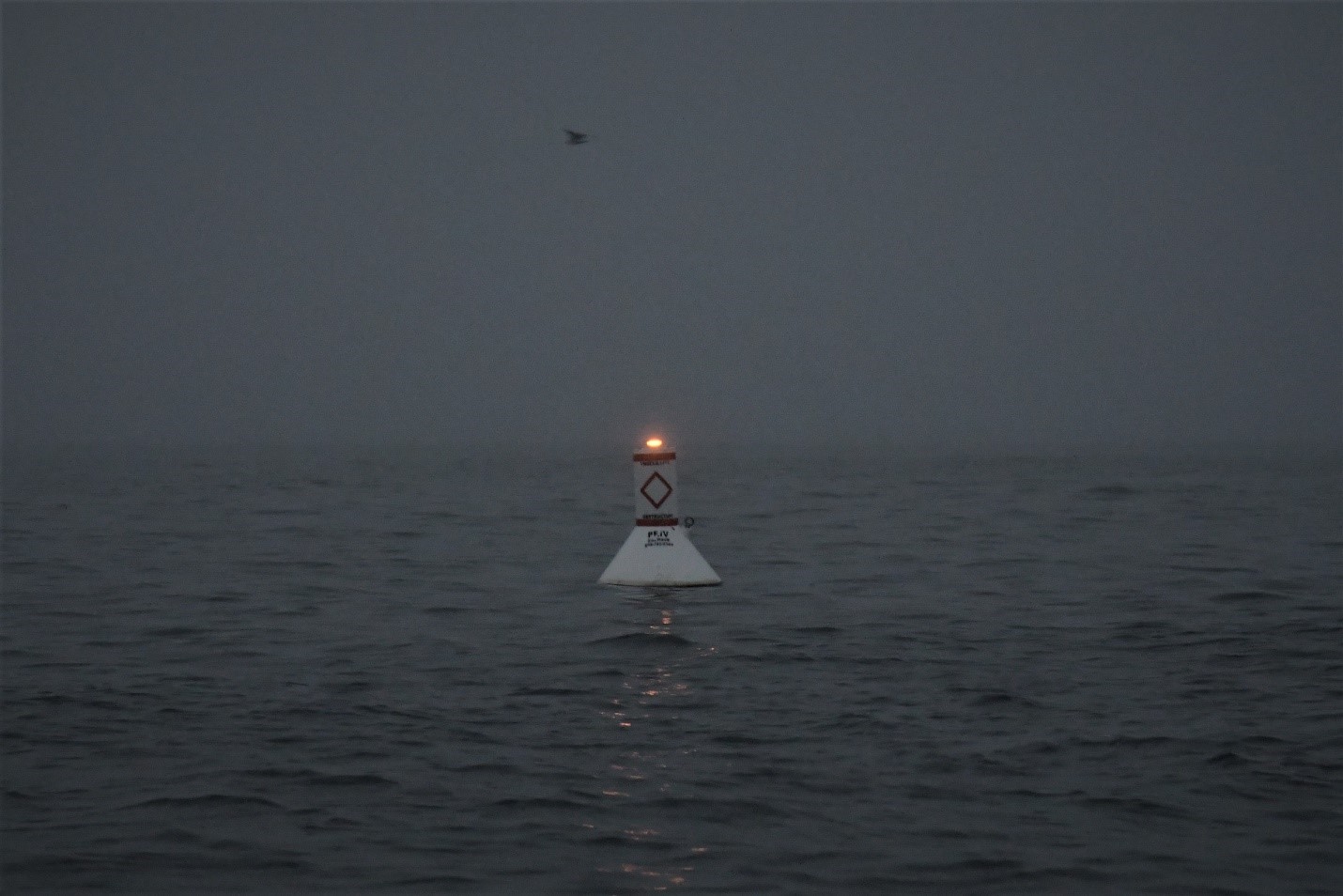Buoy with light at night