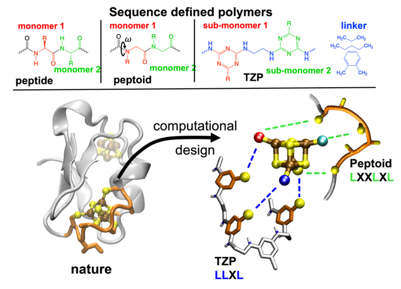 Scientific image featuring multiple types of sequence defined polymers