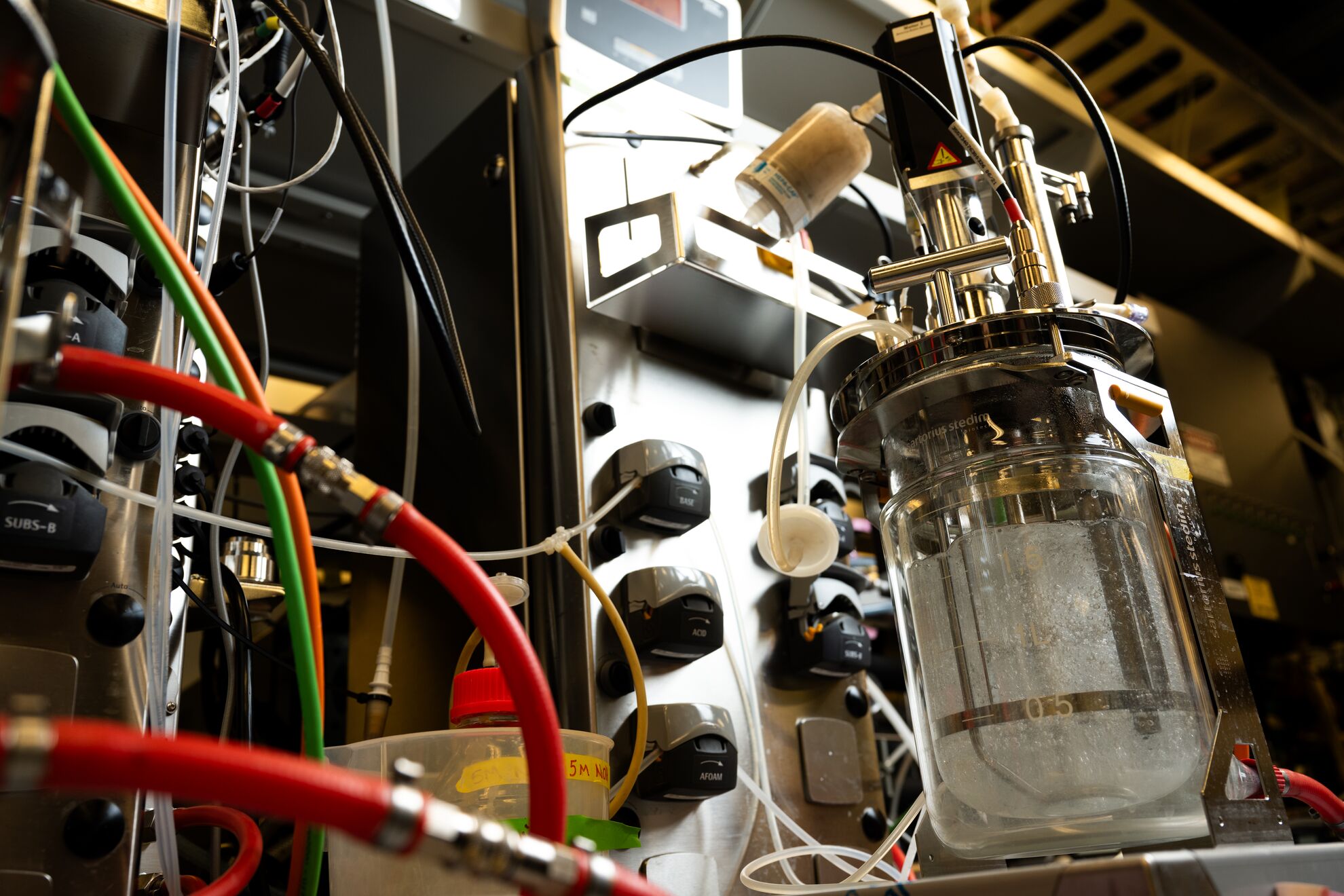 yeast growing in a benchtop growth container in a laboratory