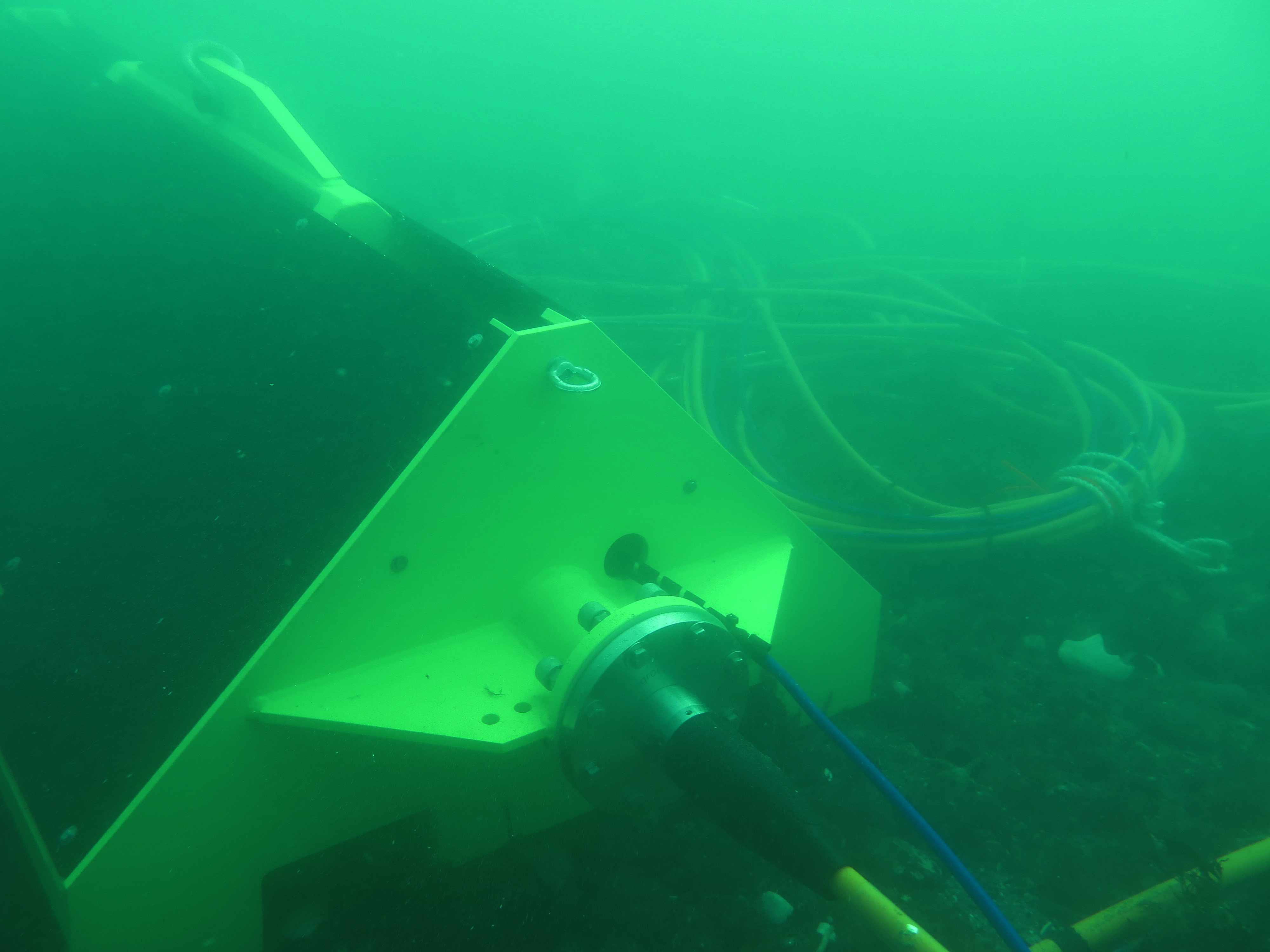 CRABEE, an node apparatus with wiring coiled up, planted on the seafloor of Sequim Bay