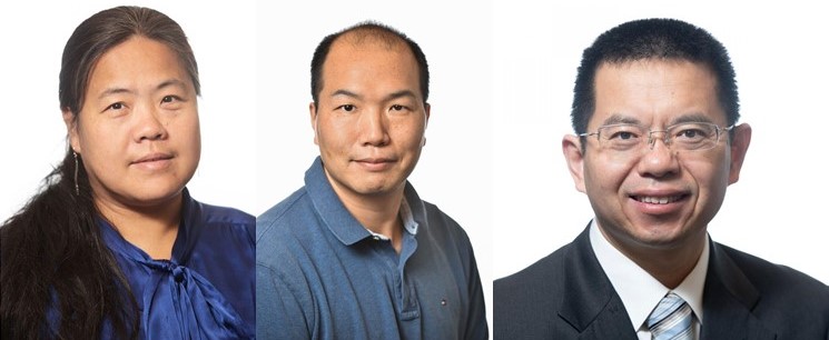 Capturing the evolution authors